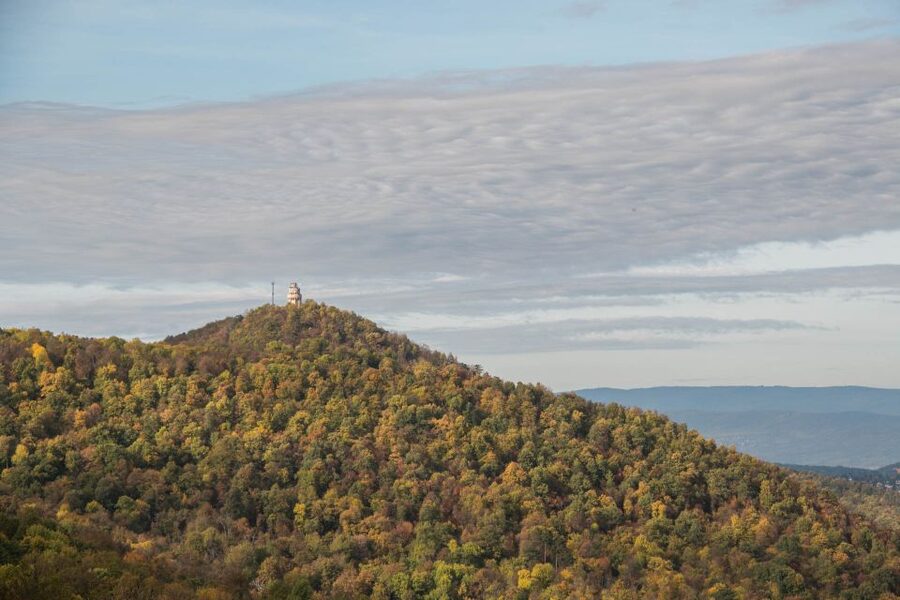 3Hour Outdoor Budapest Normafa Hike&History With a Historian - Normafa to Elizabeth Lookout, why this hike works