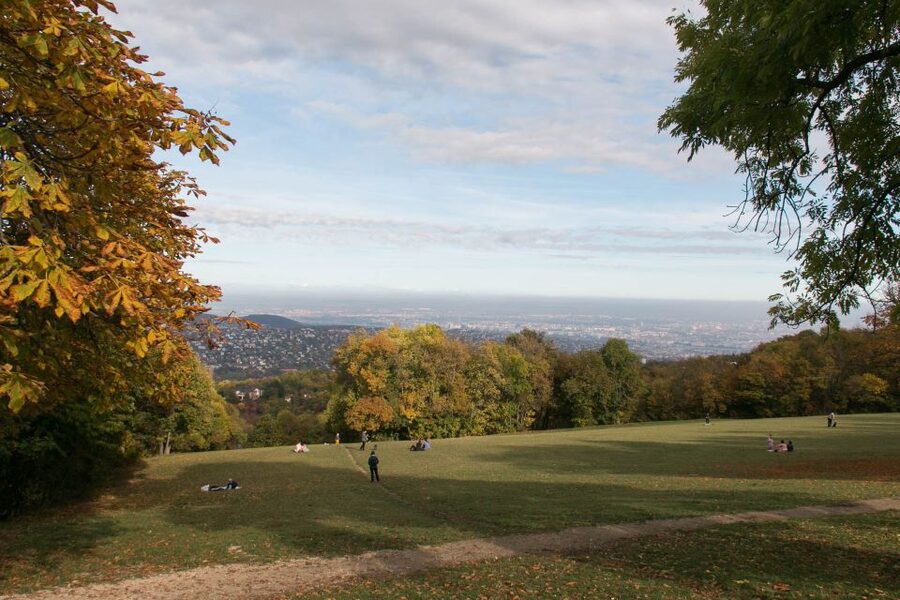 3Hour Outdoor Budapest Normafa Hike&History With a Historian - Meeting at Széll Kálmán Sq, the simple way in