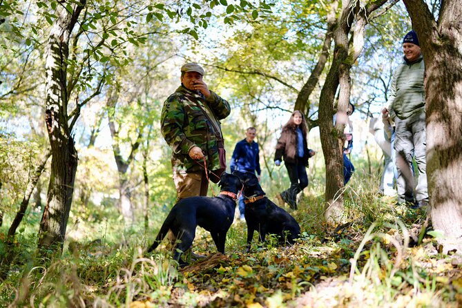 Black Truffle Hunt, Foie Gras & Wines with Budapest Pickup - Key things to know before you go