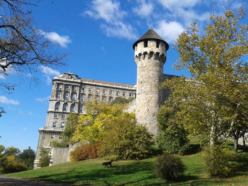 Budapest: Buda Castle Private Walking Tour - Danube-to-Pest panoramas, and how to time your pauses