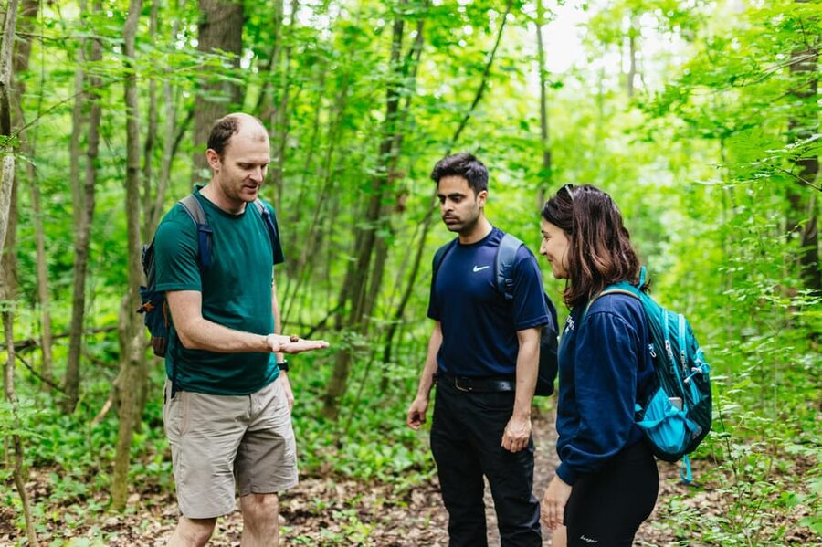 Budapest: Buda Hills Guided Hiking Tour with Optional Lunch - Why the Buda Hills Hiking Works So Well When You’re in Budapest
