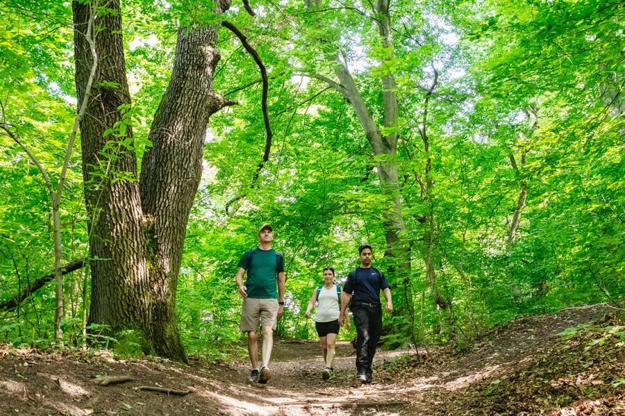 Budapest: Buda Hills Guided Hiking Tour with Optional Lunch - Starting at Széll Kálmán tér and Riding Into the Woods