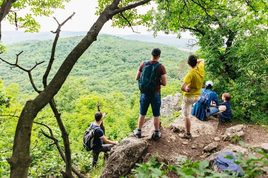 Budapest: Buda Hills Guided Hiking Tour with Optional Lunch - Elizabeth Lookout Tower Area: Panoramas Plus a Nearby Cave Stop