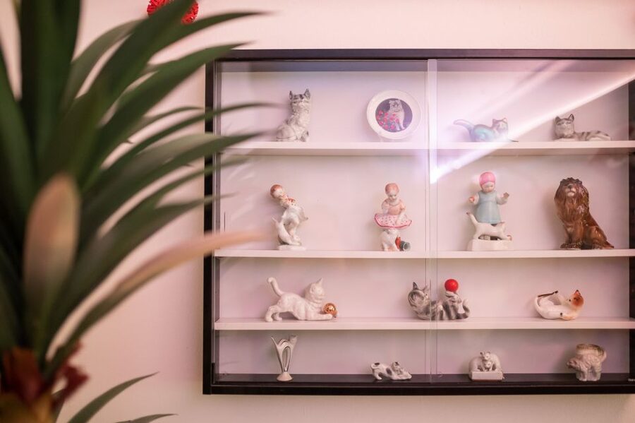 Budapest: Cat Museum Budapest Entry Ticket - Egyptian and Japanese Photo Walls: Turn the Fun Into a Souvenir