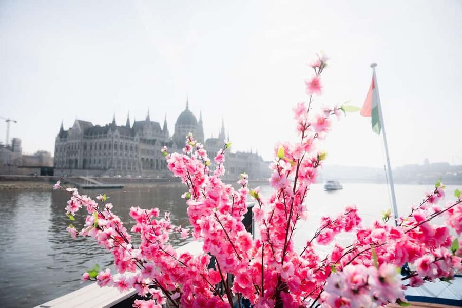 Budapest: Daytime Hop-on Hop-off Cruise with Welcome Drink - On-board comfort: air-conditioning, restrooms, and the bar situation