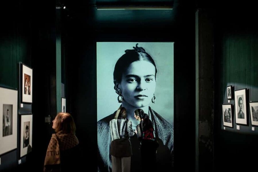 Budapest: Frida Kahlo Immersive Exhibition Ticket - What You See: 80+ Paintings, Photos, and Diary Fragments