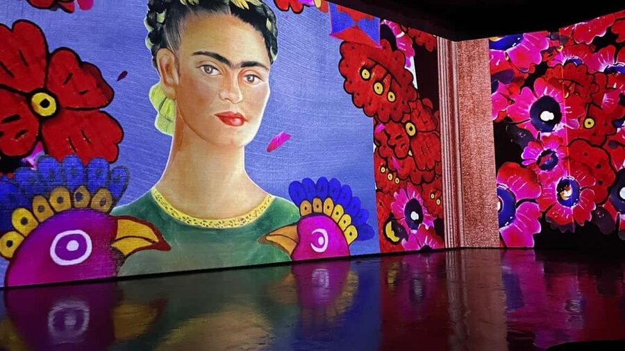 Budapest: Frida Kahlo Immersive Exhibition Ticket - Who Should Book This Frida Kahlo Show