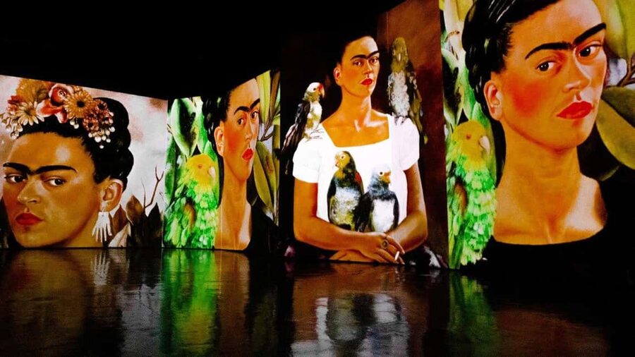 Budapest: Frida Kahlo Immersive Exhibition Ticket - Frida: Unbroken and How the Sound + Light Shape the Story