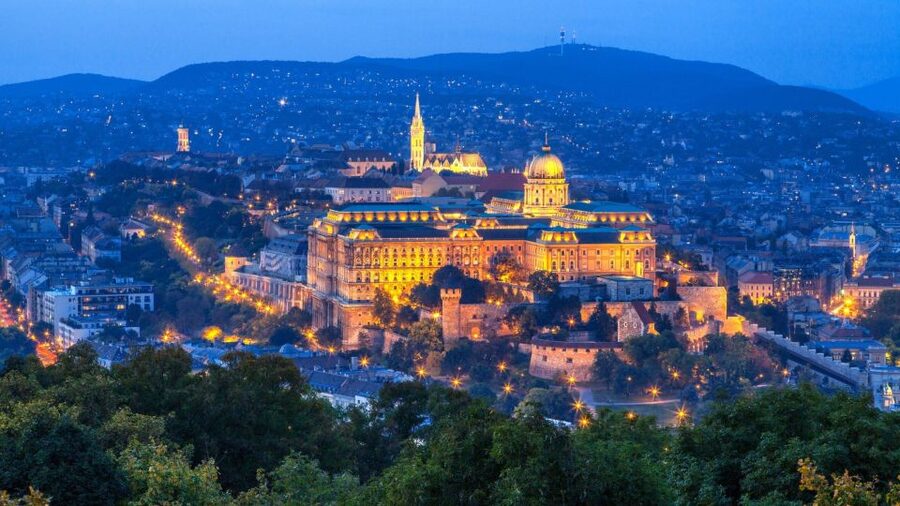 Budapest Full-Day Private Guide Services - Guide Language and the Benefit of Being Understood