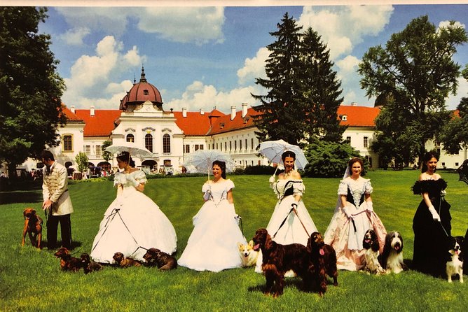 Budapest Gödöllő Palace Royal ‘Sisi’ Residence Half-Day Tour - The Palace Tour Itself: Guided Rooms, Hidden Details, and a No-Photo Warning