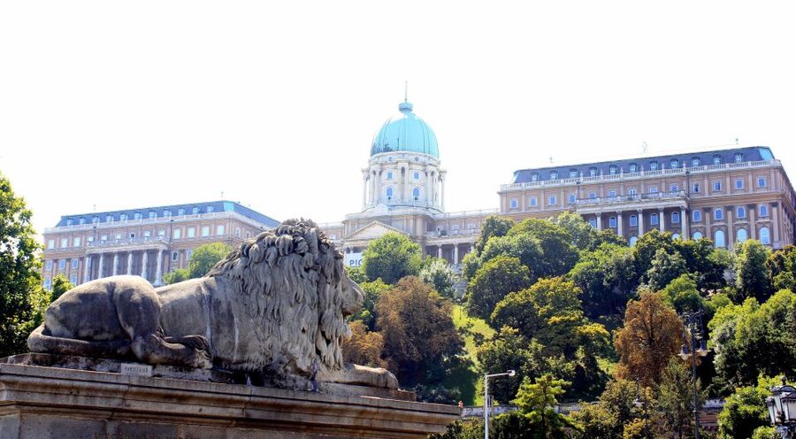 Budapest: Guided City Tour by E-Bike - St. Stephen’s Basilica, Liberty Square, and the Parliament sightline