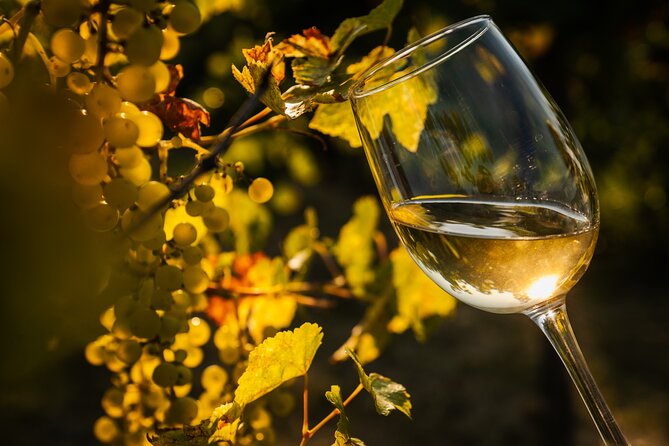 Budapest Half-Day Wine Tour: 3 Family Wineries, Meal & Pálinka - Three winery visits, about 12 to 15 tastings total