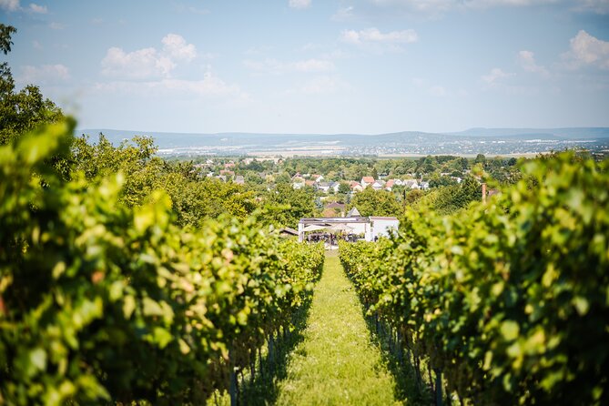 Budapest Half-Day Wine Tour: 3 Family Wineries, Meal & Pálinka - Small-group touring, and why it feels more authentic