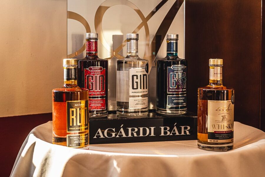 Budapest: Hungarian Whisky, Gin, and Pálinka Tasting - Agárdi Distillery: where an old site makes the tasting feel grounded