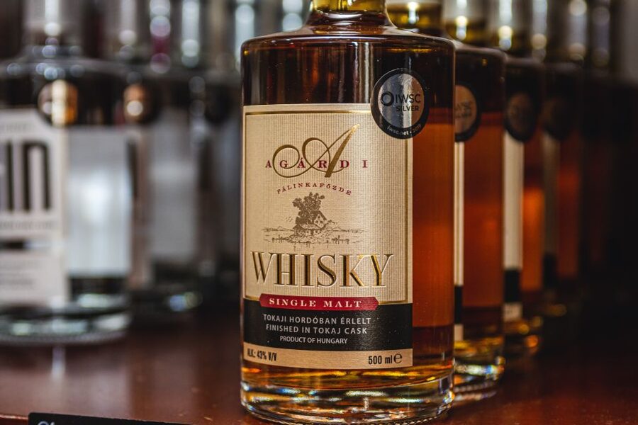 Budapest: Hungarian Whisky, Gin, and Pálinka Tasting - The tasting lineup: 6 pálinkas plus Hungarian gin and whisky