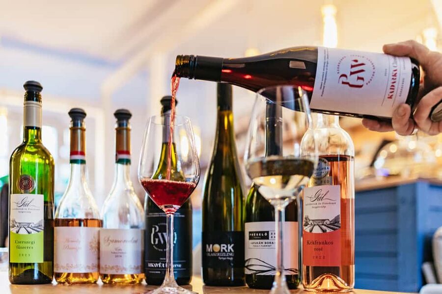 Budapest: Hungarian Wine Tasting with 8 Wines and Tapas - Should you book this Hungarian wine tasting with tapas?