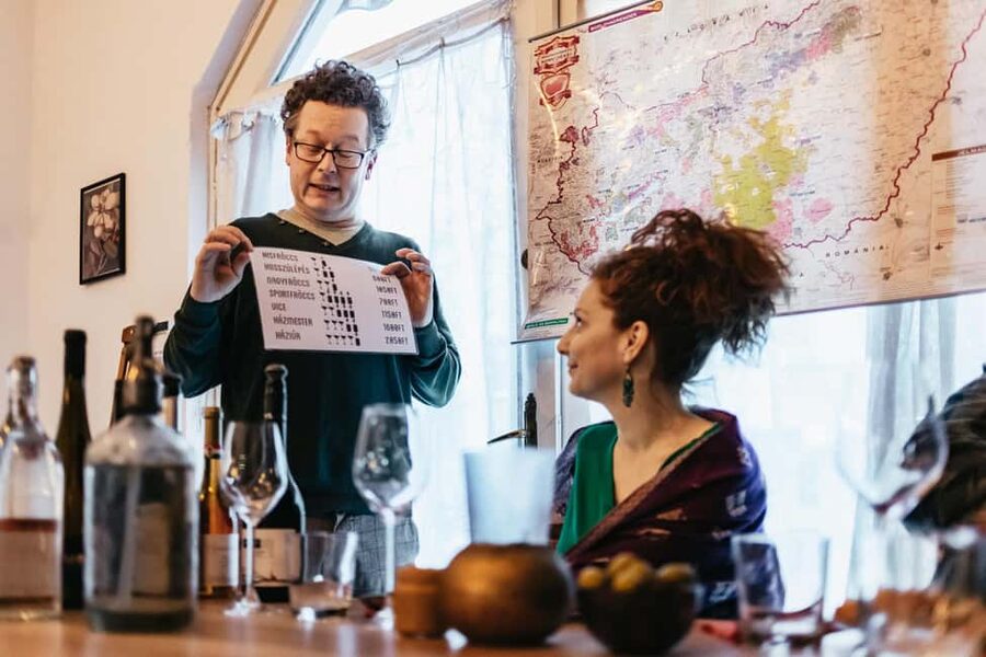 Budapest: Hungarian Wine Tasting with 8 Wines and Tapas - Pairing Hungarian wine with farm tapas, olives to cheese
