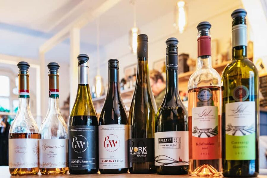 Budapest: Hungarian Wine Tasting with 8 Wines and Tapas - Who this tour suits best, and who should rethink it