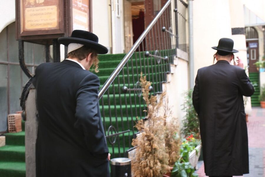 Budapest: Jewish Heritage Guided Tour with Synagogue Ticket - A moving walk through Budapest’s Jewish Quarter, without getting lost