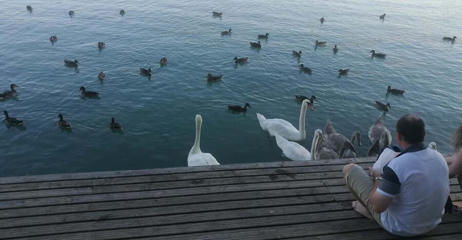 Budapest: Lake Balaton & Herend Porcelain Private Day Tour - Balatonfüred: dessert, lake-town rhythm, and the classic resort stop