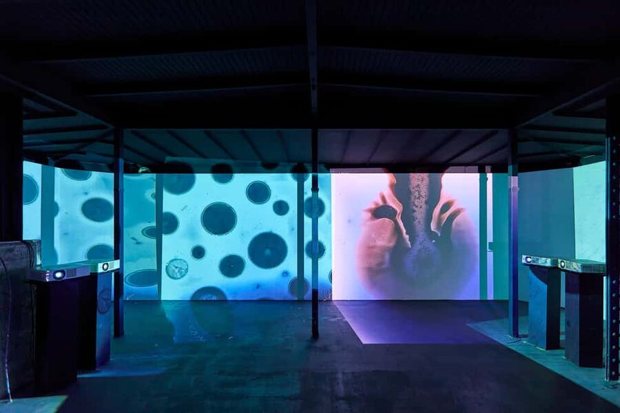 Budapest: Light Art Museum Skip-the-Line Entry Ticket - Should you book this Light Art Museum ticket?