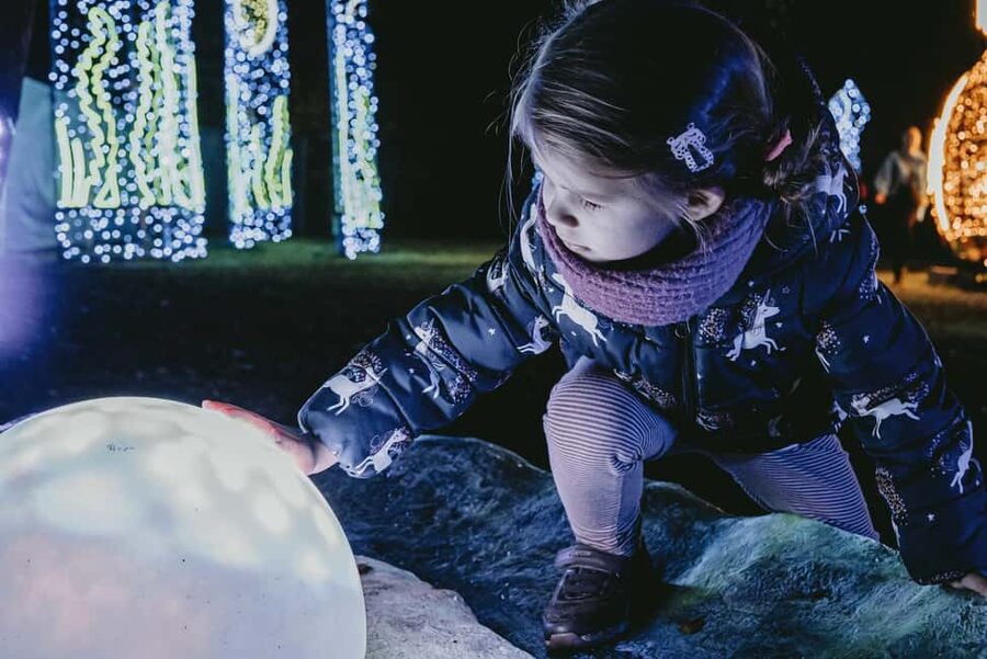 Budapest: Lumina Light Park Wonderworld Entry Ticket - Who Should Go, and Who Should Skip