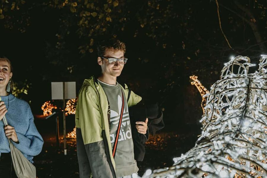 Budapest: Lumina Light Park Wonderworld Entry Ticket - Price and Value: Is $21 a Good Deal in Budapest?