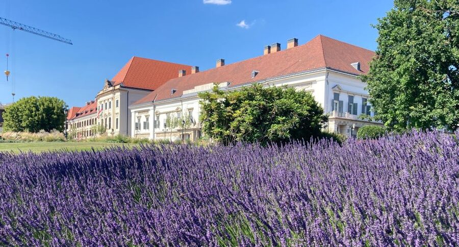 Budapest: private sightseeing tour by public transportation - Buda Castle District, Matthias Church, and Fishermen’s Bastion viewpoints