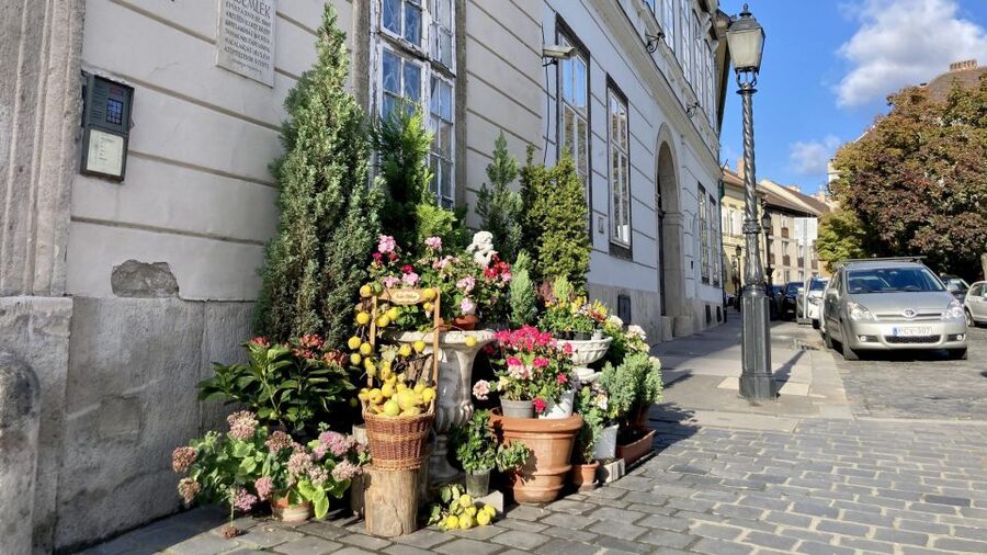 Budapest: private sightseeing tour by public transportation - Using buses, metro, and tram lines without turning it into a transportation quiz