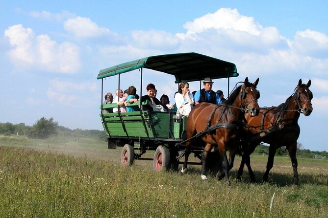Budapest Puszta Day Trip to Kecskemet with Horse Show & Lunch - Should You Book This Puszta Day Trip?