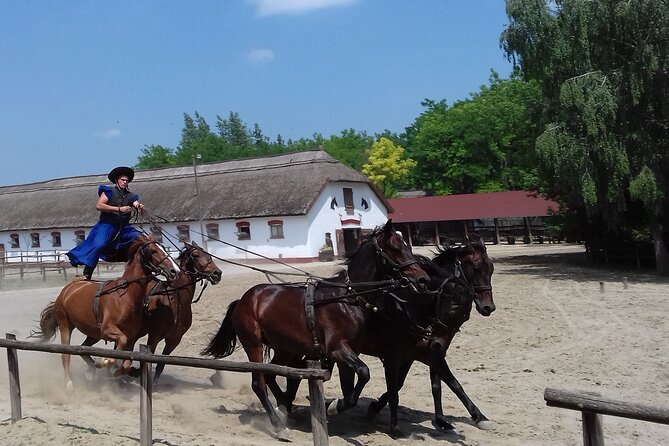 Budapest Puszta Day Trip to Kecskemet with Horse Show & Lunch - Kecskemet Stroll: Town Hall Sights and a Quick City Taste