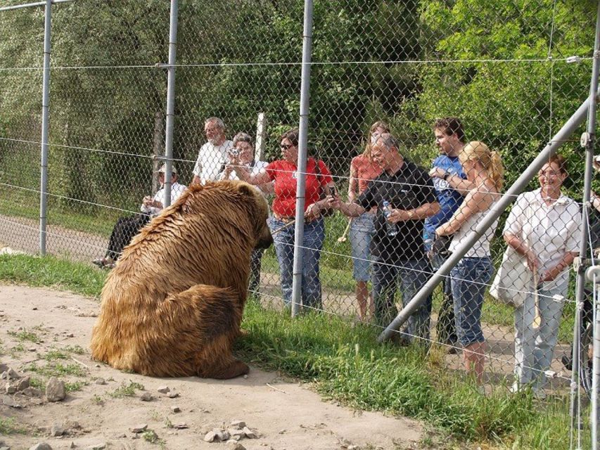 Budapest: Transport & Guided Tour of Bear and Wolf Sanctuary - From Batthyány tér to the Sanctuary: The Van Ride That Sets the Tone