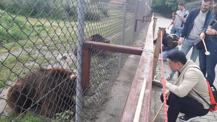 Budapest: Transport & Guided Tour of Bear and Wolf Sanctuary - Your Two Hours on Sanctuary Grounds: Fence Life and a Nearly 1.4 km Walk