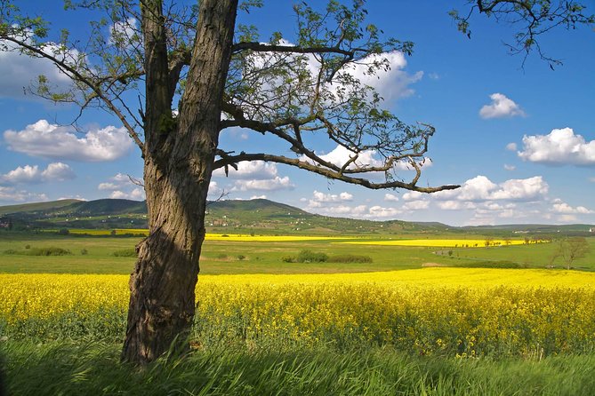 Budapest-Vienna One-Way Sightseeing Transfer - Budapest to Vienna, but with breaks that feel human