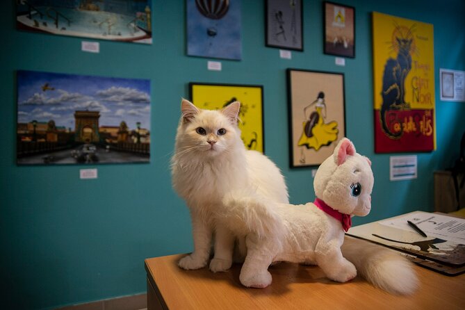 Cat Museum Budapest Entry Ticket - Price and value: $13.06 for 90 minutes, with perks