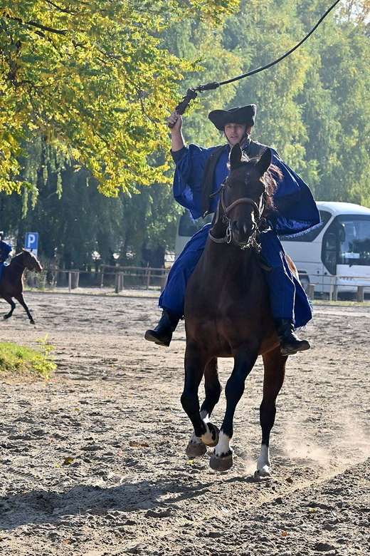 Countryside ranch, horse show & lunch - Who should book, and who might want to rethink it