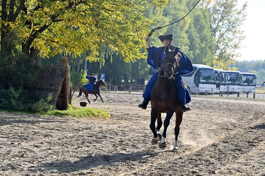 Countryside ranch, horse show & lunch - The horse show: cowboy skill in a working-ranch setting