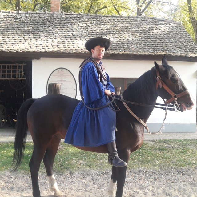 Countryside ranch, horse show & lunch - Price, pacing, and value for $127 per person