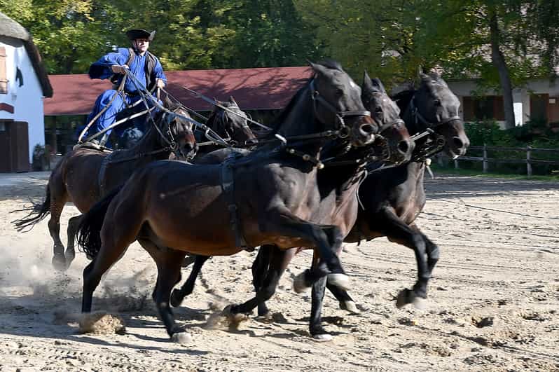 Countryside ranch, horse show & lunch - Meeting in Batthyány Square, then heading out to the puszta
