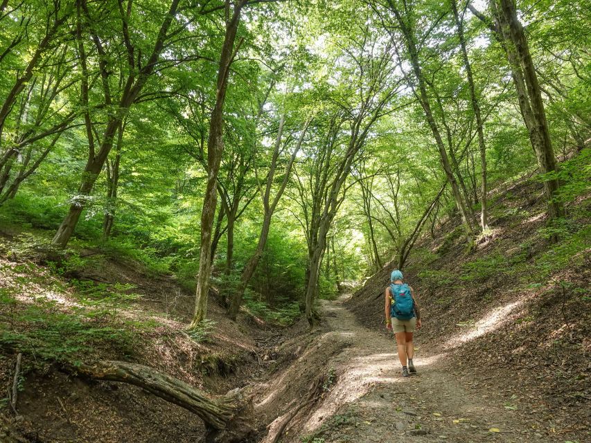 Danube Bend Hiking and Kayaking Adventure - Key Highlights at a Glance