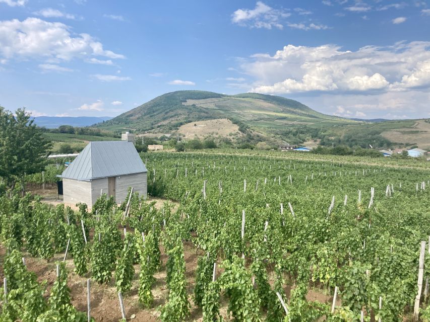 Eger: Countryside, Culture, and Wine Private Tour - Eger Builds a Story You Can Actually Walk Through