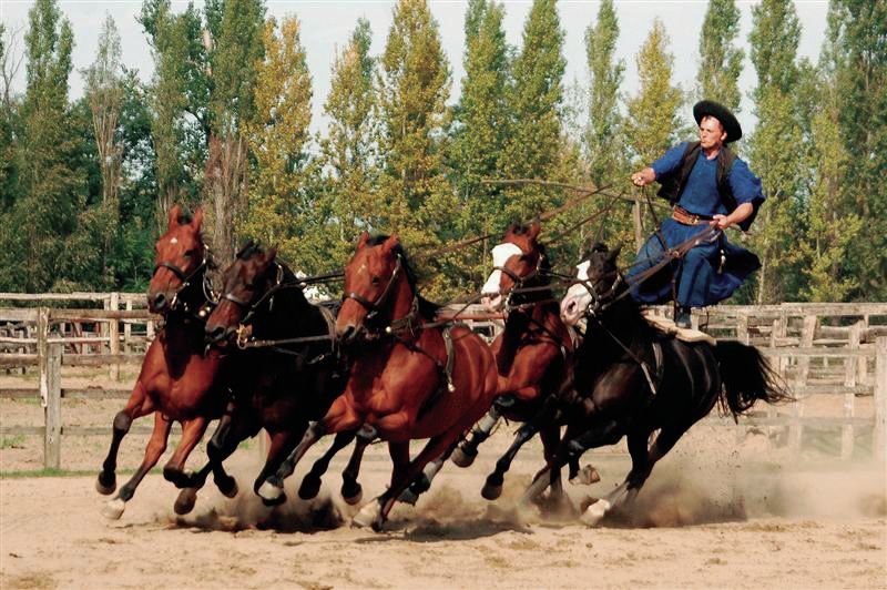 From Budapest: Full-Day Puszta Tour with Lunch and Show - The Coach Ride From Budapest: Comfortable, Scheduled, and Pretty Straightforward