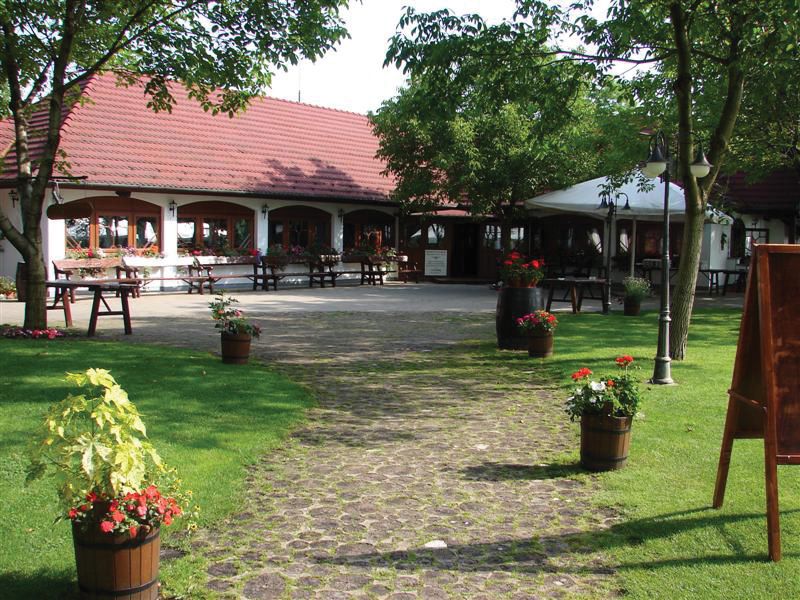 From Budapest: Full-Day Puszta Tour with Lunch and Show - Lajosmizse Horse Ranch Arrival: The Pálinka Moment and What Happens Next
