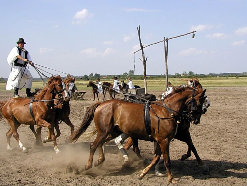 From Budapest: Full-Day Puszta Tour with Lunch and Show - Lunch on the Ranch: A 3-Course Hungarian Meal With Wine