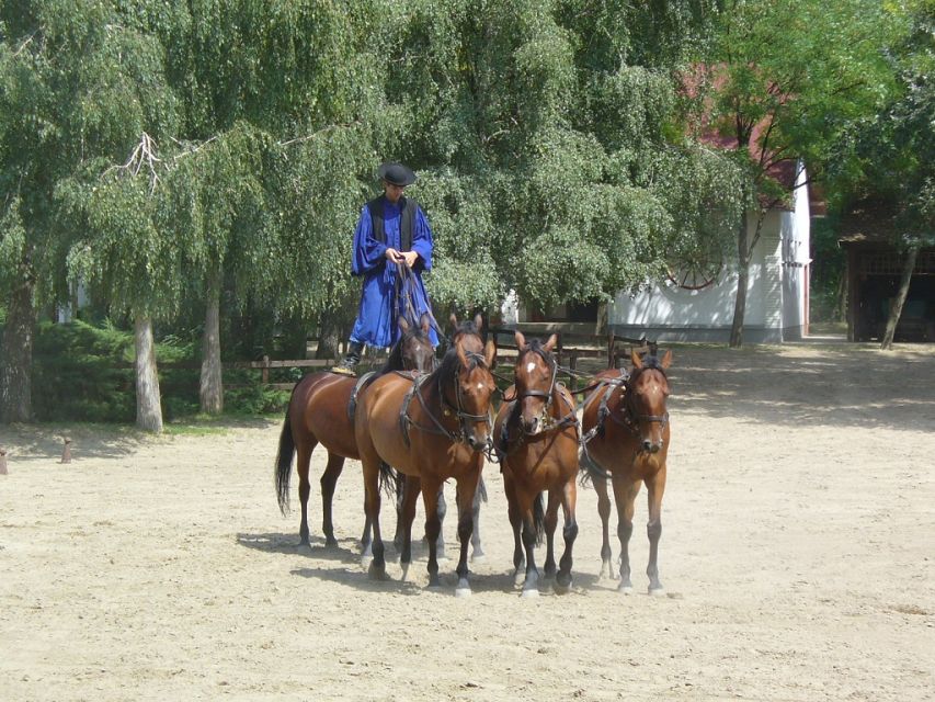From Budapest: Full-Day Puszta Tour with Lunch and Show - Guide and Group Experience: English Support and Human Personality