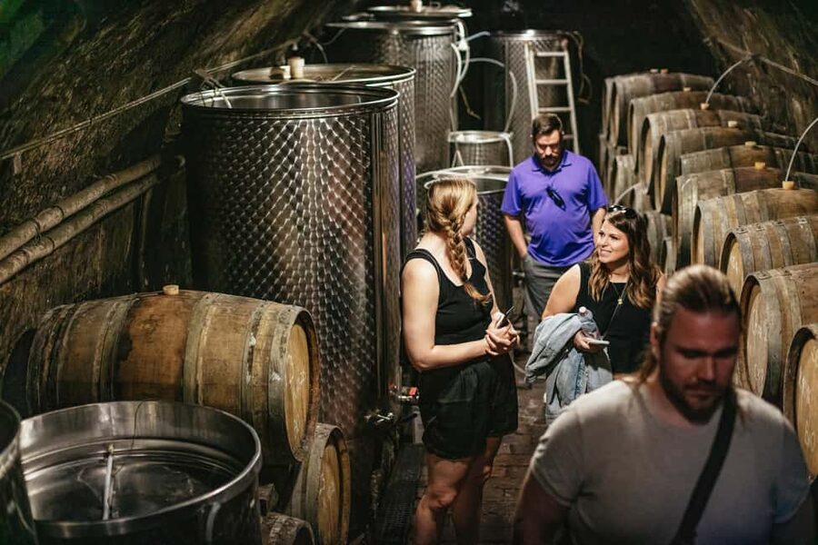 From Budapest: Half-Day Countryside Wine Tour with Meal - Group Size and the Social Balance