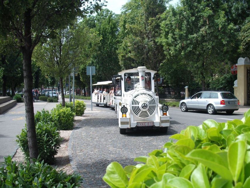 From Budapest: Lake Balaton Day Tour - Mobility and Comfort Reality Check