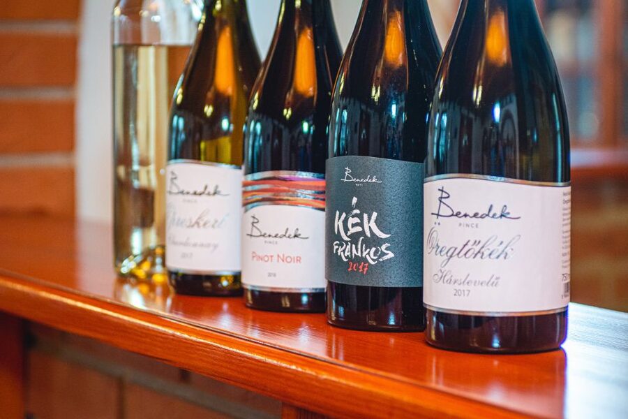 From Budapest: Mátra Hills Wine Tour - On the road: using the journey to understand Hungary’s wine traditions