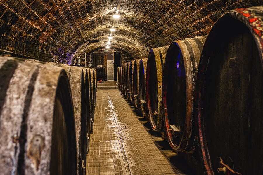 From Budapest: Mátra Hills Wine Tour - The tasting logic: how you end up with up to 8 wine varieties