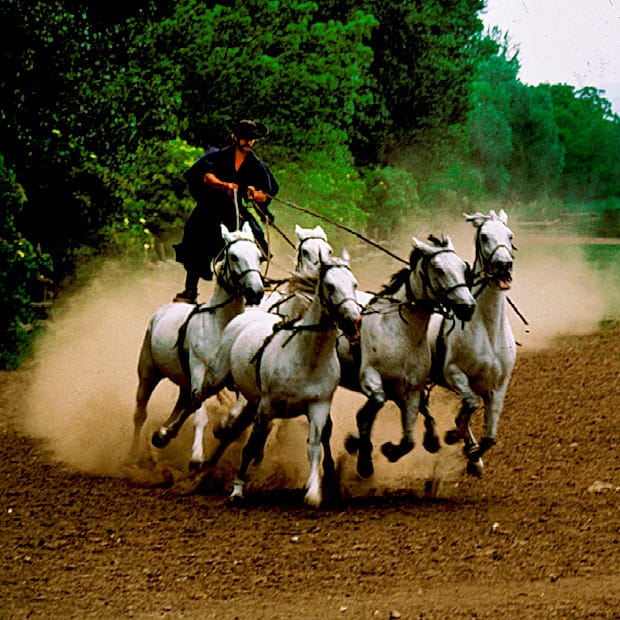 From Budapest: Puszta Horse Show and Countryside Visit - Getting There From Budapest: Comfort Matters on an 8-Hour Day